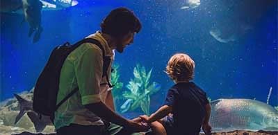 Father and sun looking into observation tank at fish