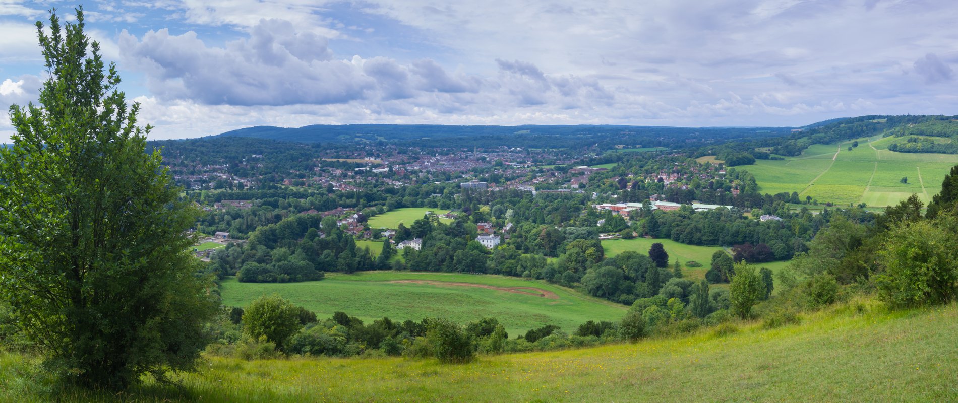 view from the top of box hill with fields filled with trees and bushes