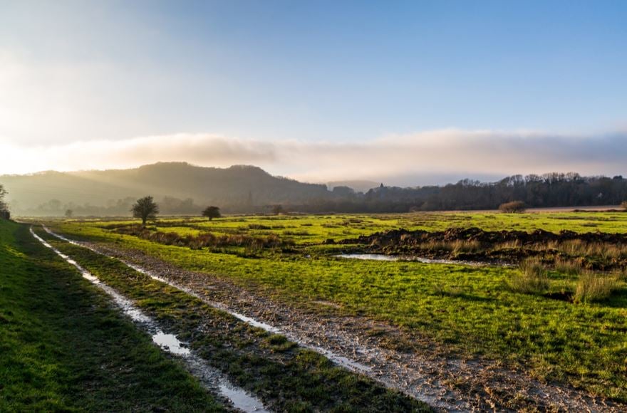 Muddy grassy fields with small puddles of water glistening in the crisp sunny daylight 