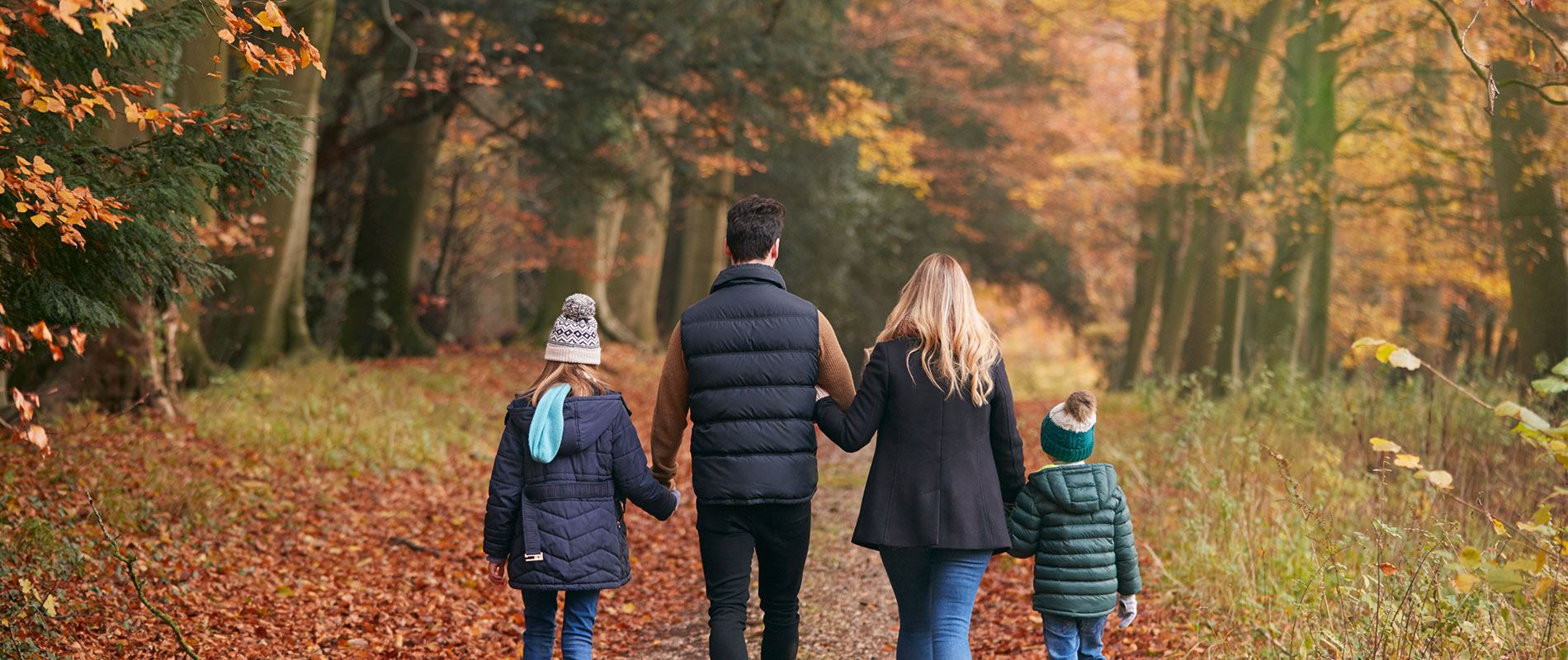 parents and their two young children walk  down a woodland path covered with fallen autumnal leaves 