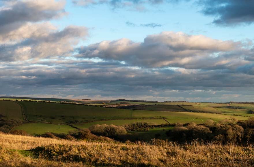 Rolling hills of South Downs National Park