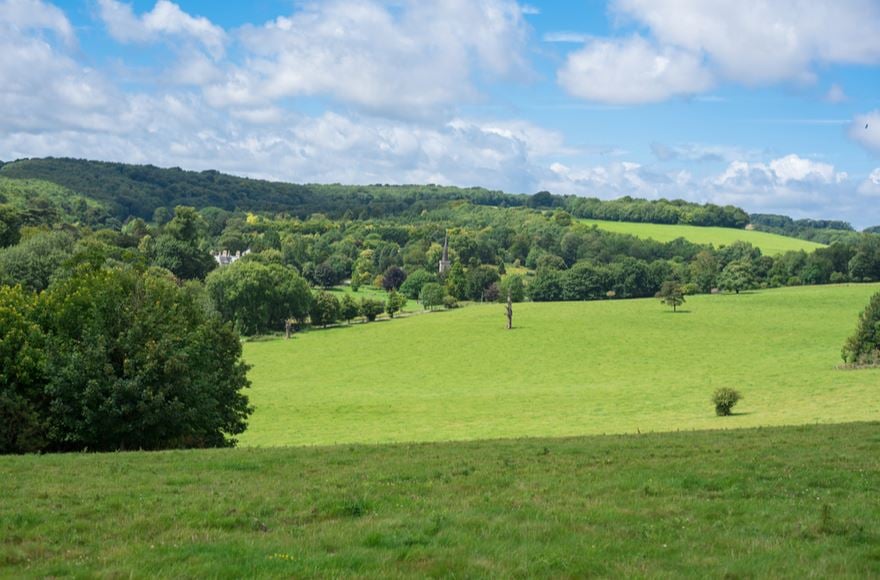 Stanmer Park Nature Reserve in Brighton