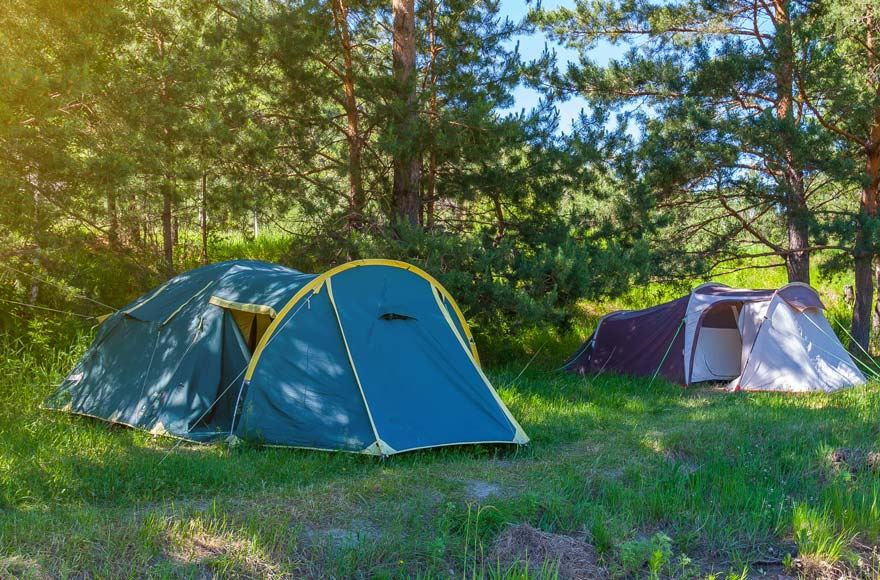 Tents pitched in a shaded area surrounded by trees