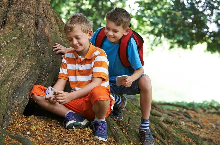 young boys in the woods using mobiles phones 