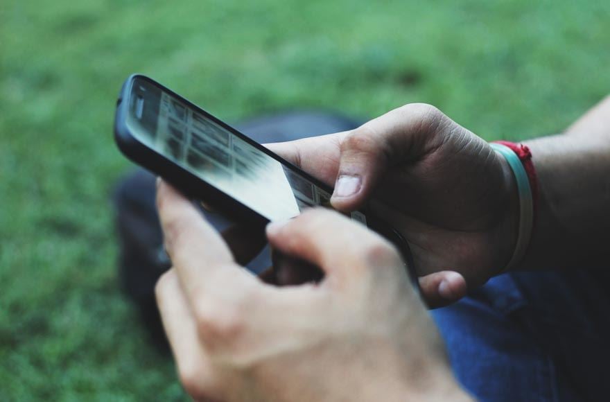 person using their phone in the green outdoors