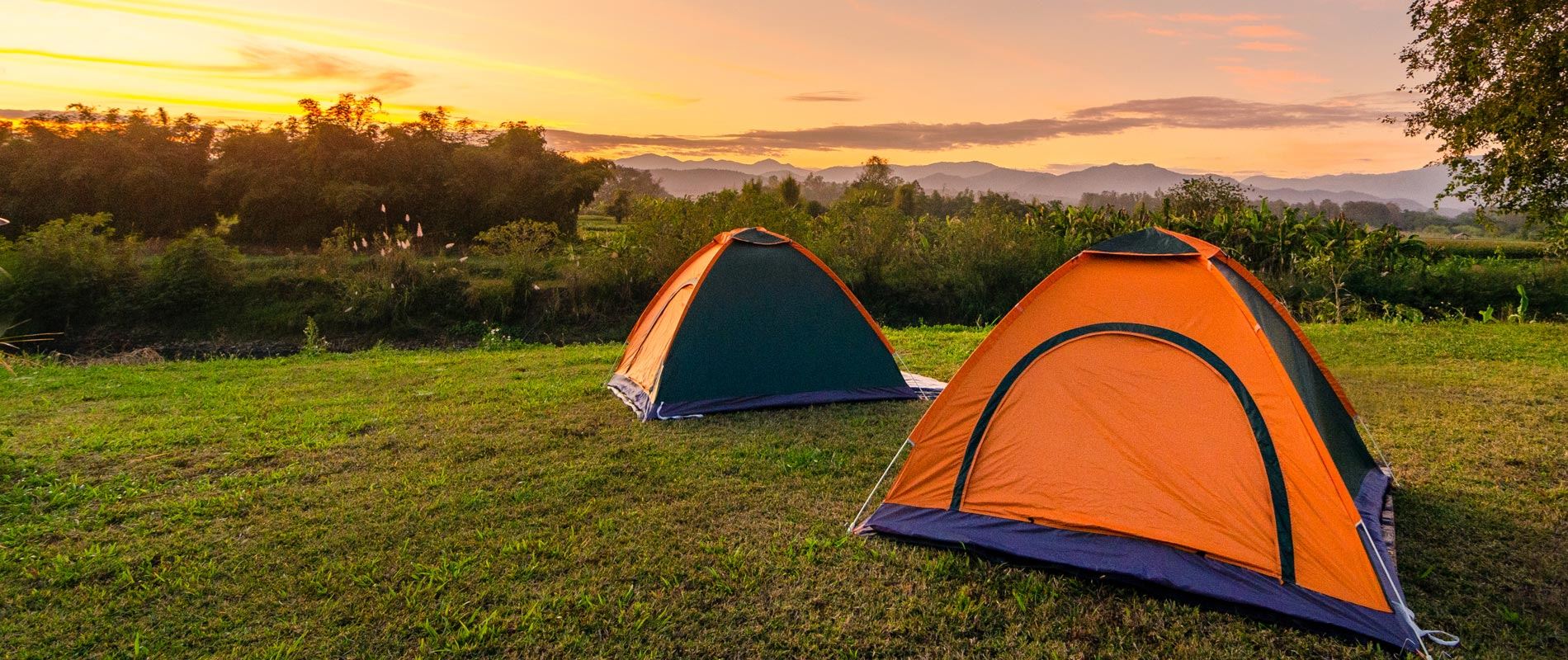 two orange tents pitched on a green field with a beautiful sunset backdrop