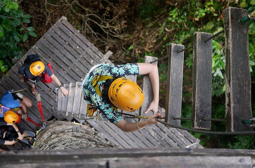 People climbing a ladder in the tree tops at GoApe