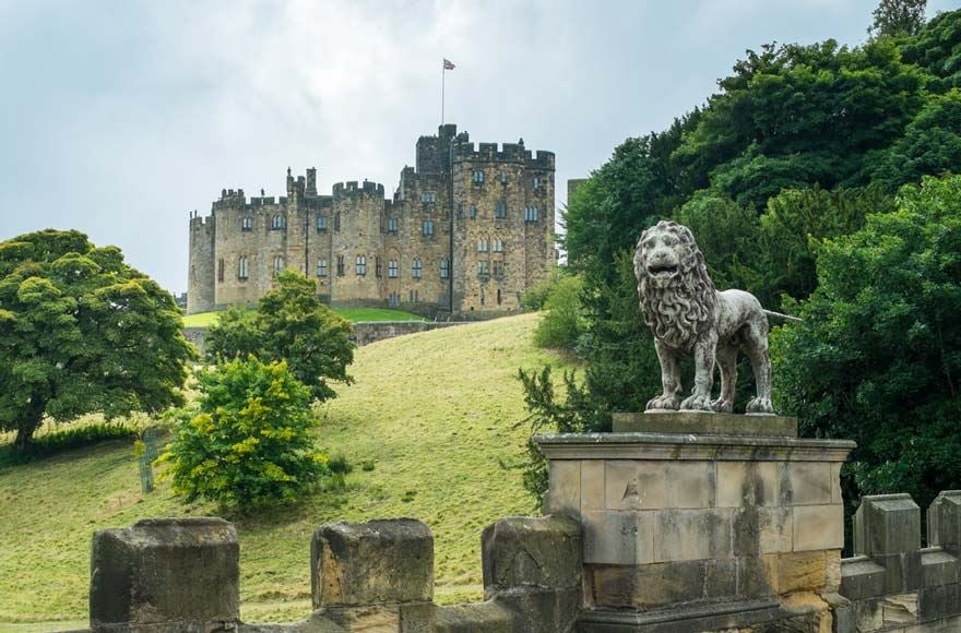 Alnwick castle sitting on a hill  surrounded by lusciousl trees with a lion statue in the forground