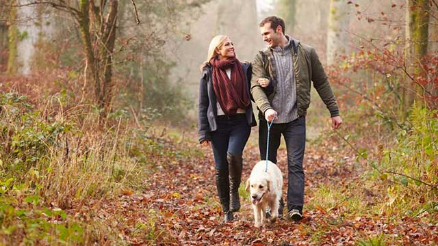 A couple walk their dog through woods in autumn, near Alderstead Heath Club Campsite