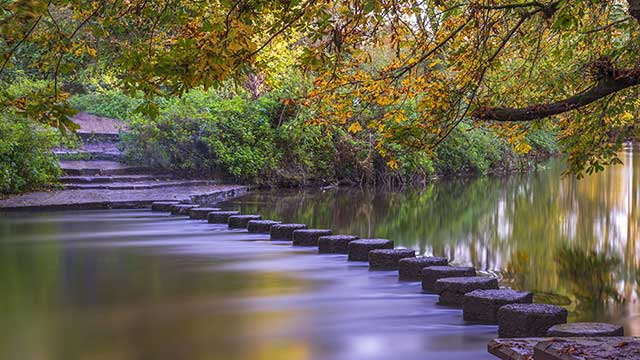 The famous Stepping Stones at the base of Box Hill, near Alderstead Heath Club Campsite