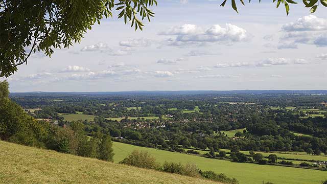 View over leafy Box Hill, near Alderstead Heath Club Campsite