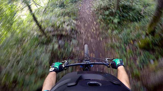 A mountain biker's view, travelling at speed, near Alderstead Heath Club Campsite