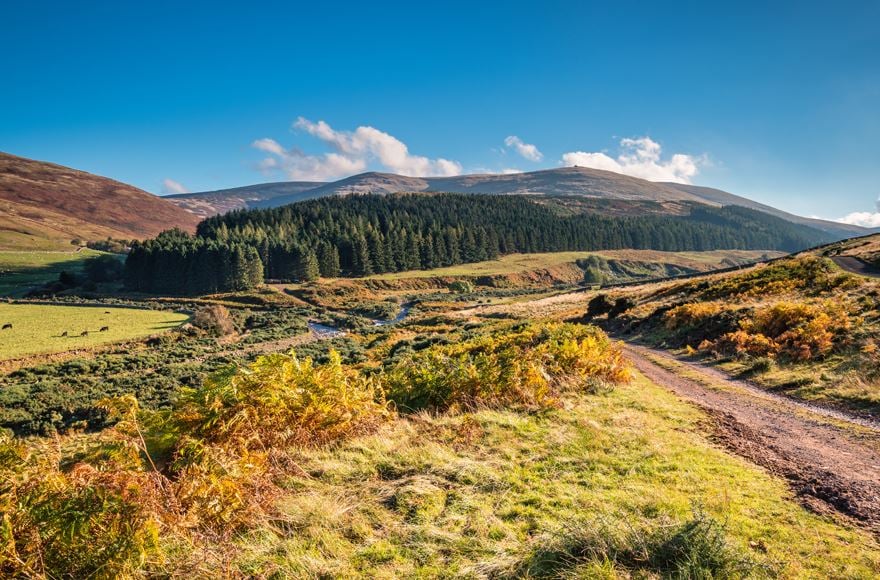 College Valley and the Cheviot near Berwick