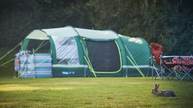 A tent pitched at Black Horse Farm Club Campsite