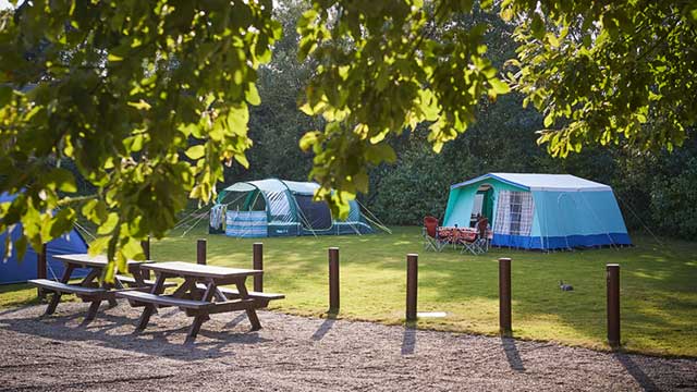 Tents in the shade at Black Horse Farm Club Campsite