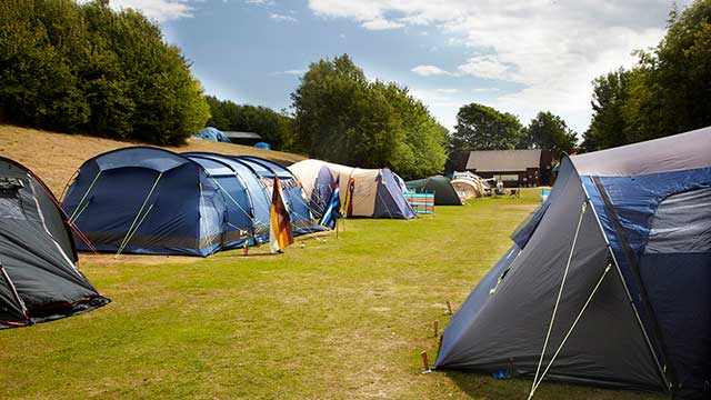 Rows of tents in the sunshine at Brighton Club Campsite