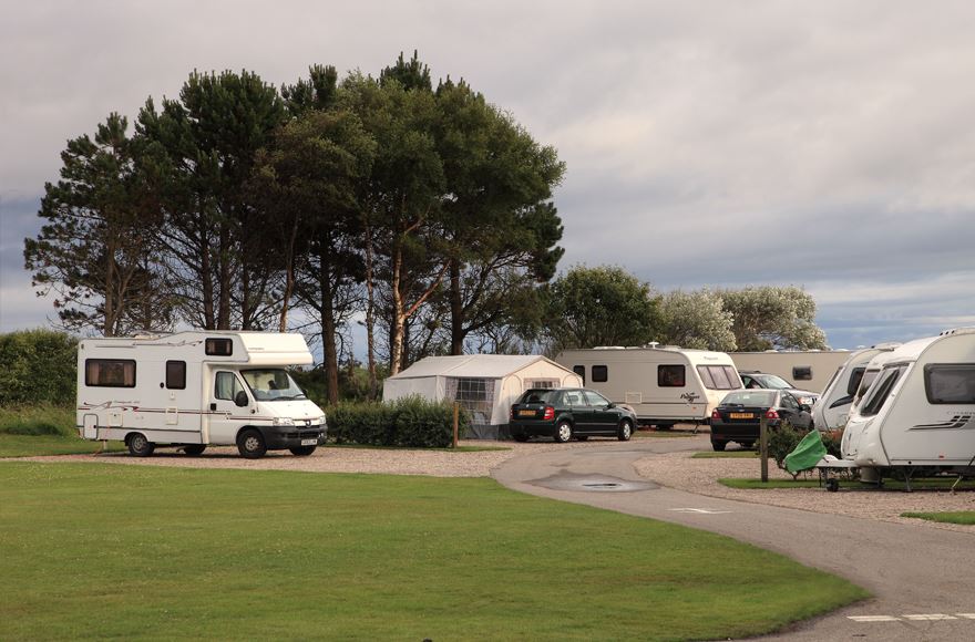 Motorhomes and caravans on pitches with trees in the background