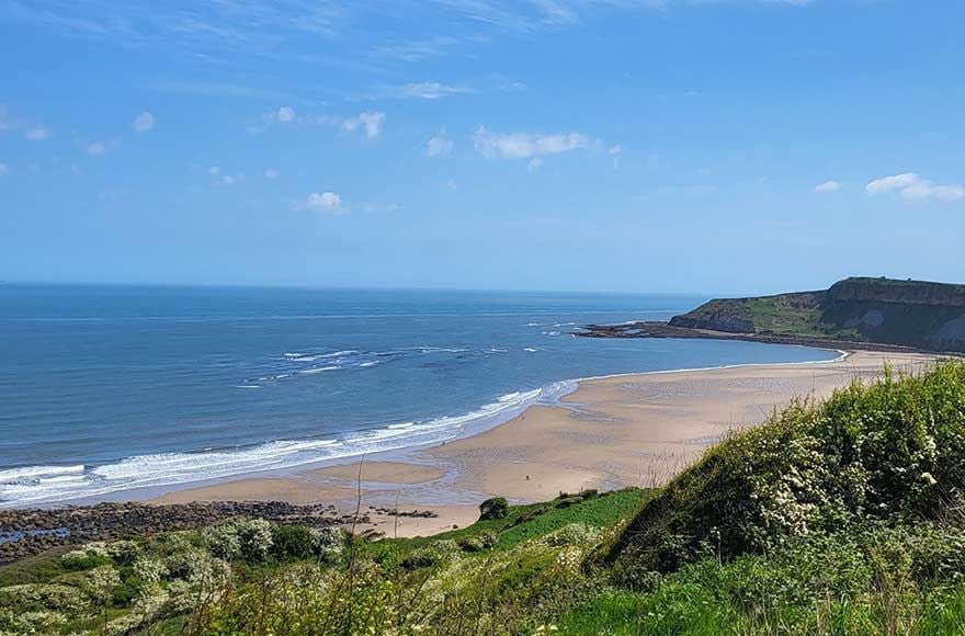 A serene beach at Cayton Bay  featuring lush grass and trees lining the shore, creating a tranquil natural environment.