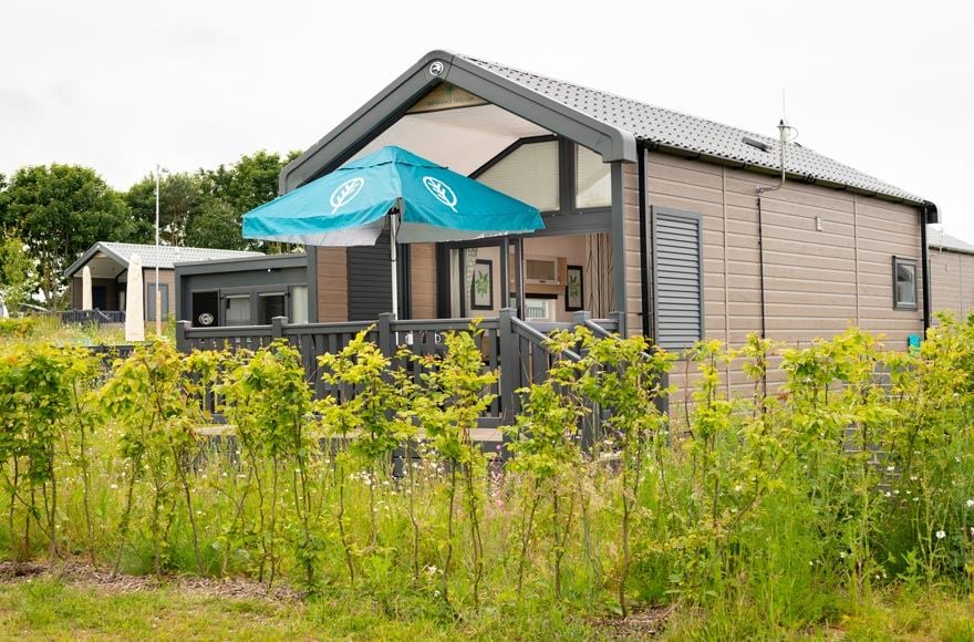 Glamping cabin at Cayton Village with blue parasol on the decking