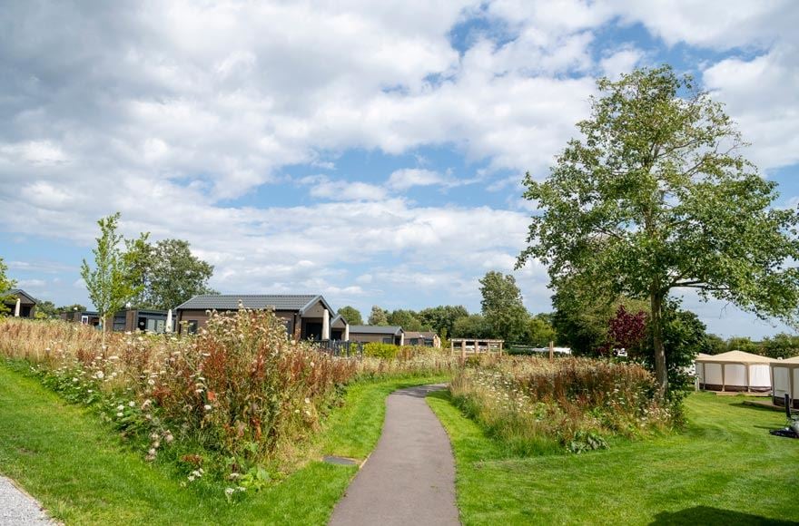 Glamping area at Cayton Village