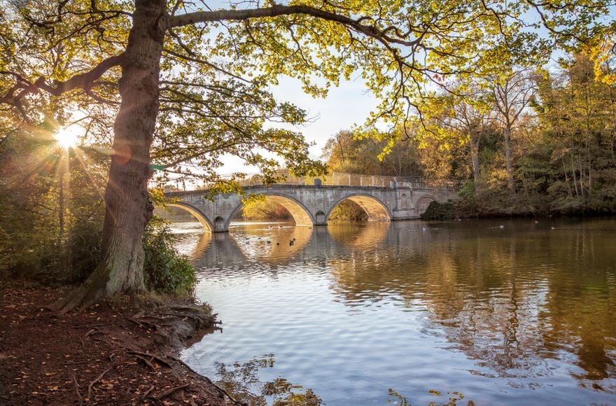 Bridge over calm water at Clumber Park