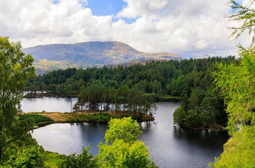 lush green trees surround a calm lake on a backdrop of rocky mountains 