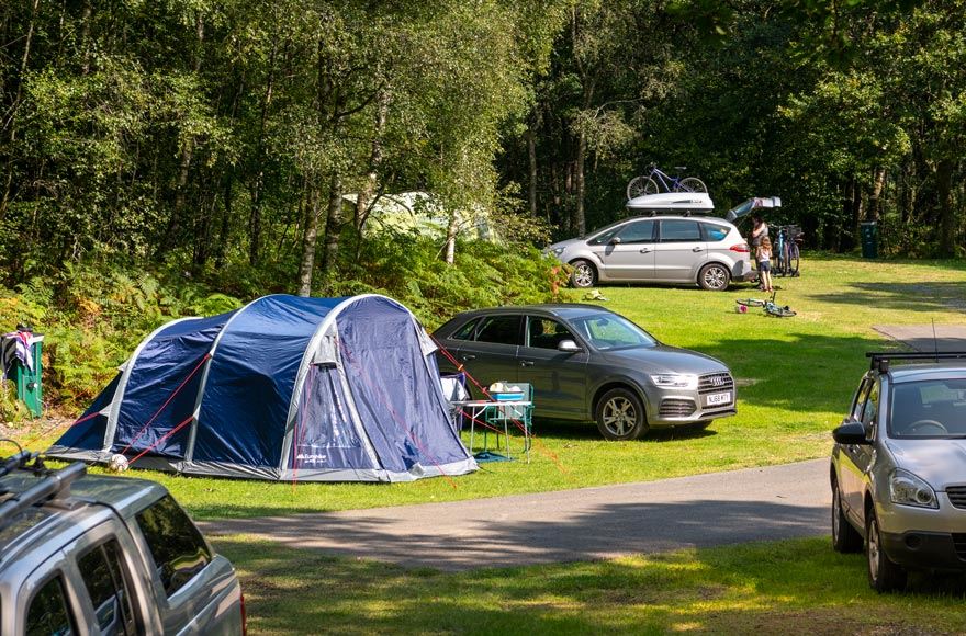 tents pitched next to cars on grass surrounded by tress