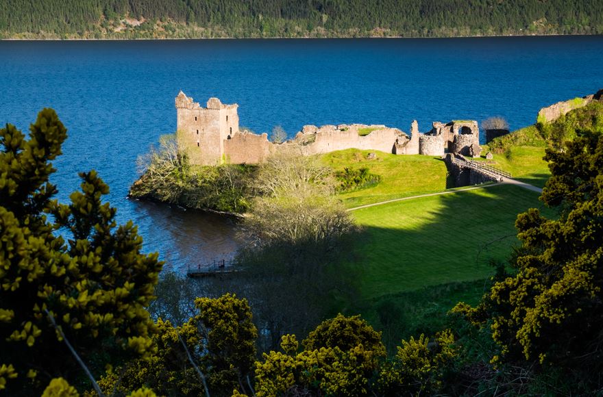 With flowering gorse at the foreground looking down the hill onto Urquhart Castle  which is next to the lake. The lake spreads nearly to the top when you then see the lines of trees spread accross the top of the picture