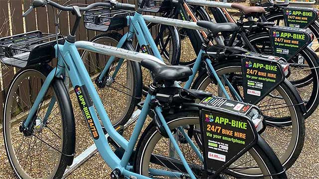 Blue bikes for hire, lined up near Daleacres Club Campsite