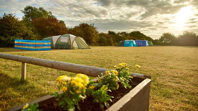 Well spaced tents in the sunshine at Daleacres Club Campsite