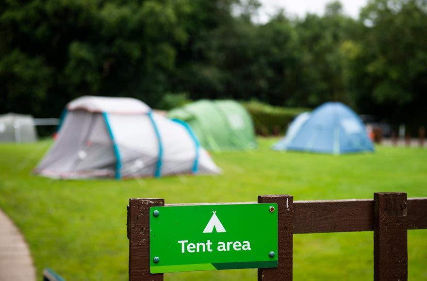 Tents in the dedicated tent area of the site