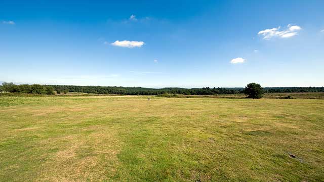 View across a grassy field, near Exeter Racecourse Club Campsite