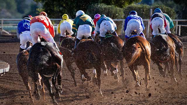 Jockeys in bright silks ride horses galloping on the dirt track at Exeter Racecourse