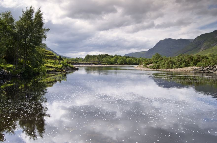 Looking over the water  with grey clouds and trees reflecting on the water  with mountains and trees in the background