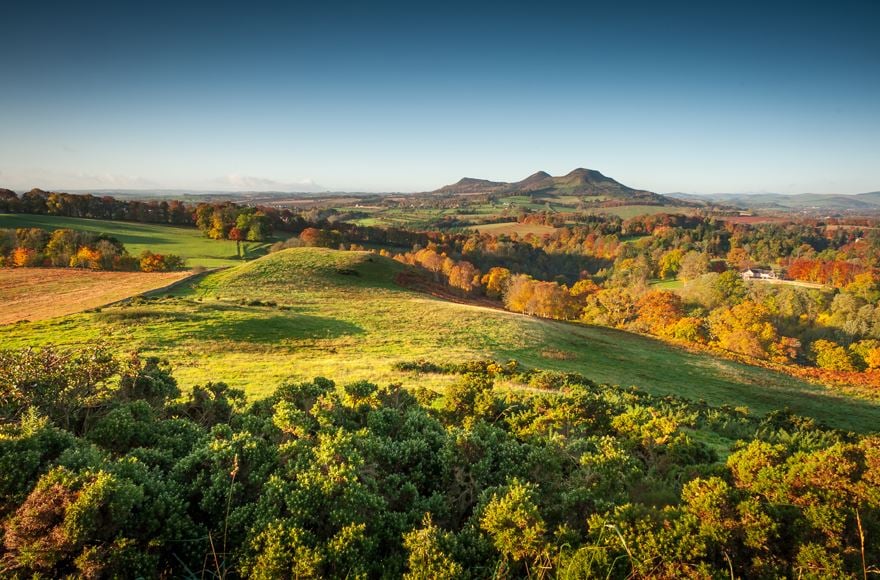 View over the Eildon hills with green and autumn tones  in the trees and grasses