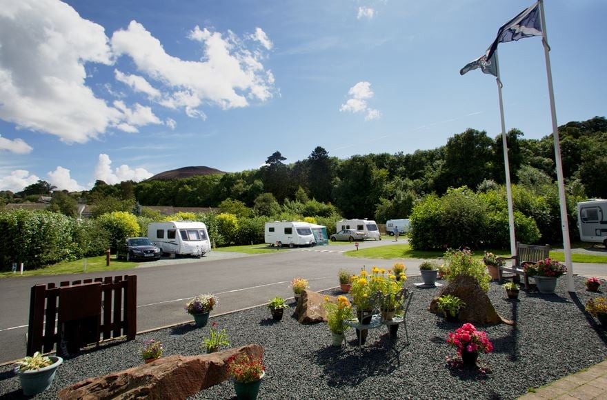 Caravans on pitches  with trees behind. In the foregound  colourful flowers on a gravel area