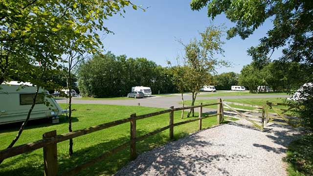 Caravans pitched up in the sunshine surrounded by green grass and trees