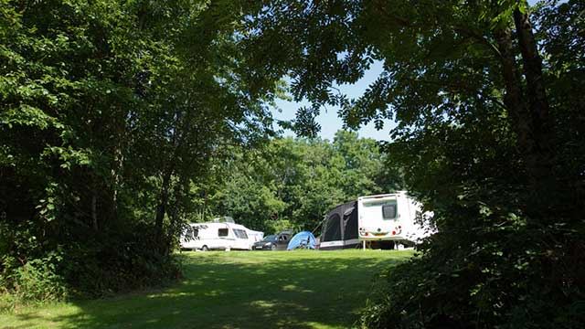 View through the trees at Modbury campsite to caravans and tents