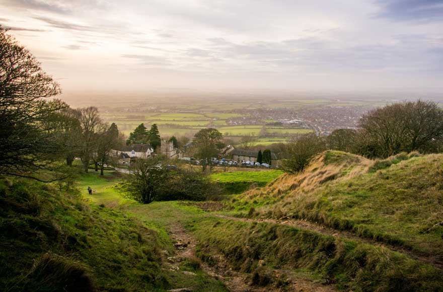 Rustic landscape of trees and muddy ground of the Shire