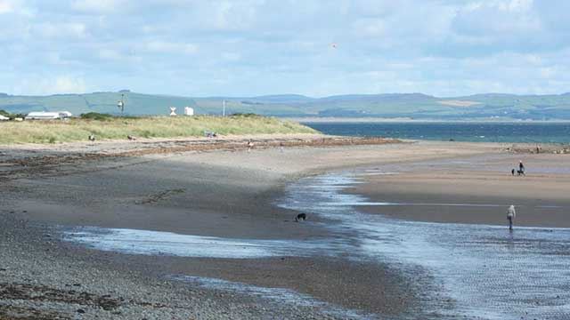 Beach with the tide out with  a couple of walkers and their dogs