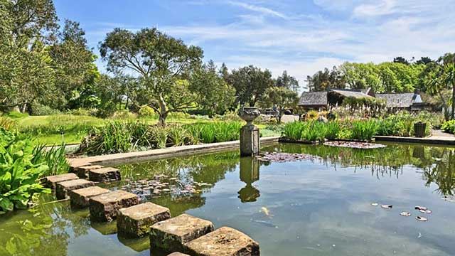 Pond with trees reflecting on the water at  Logan botanical gardens