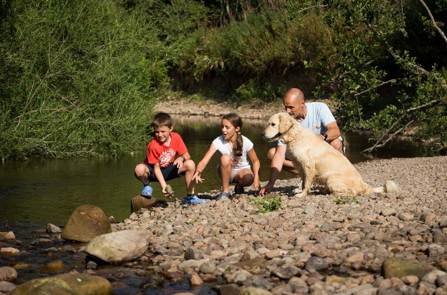 family and dog playing near river