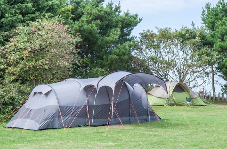 tents in lush green fields at Seacroft campsite