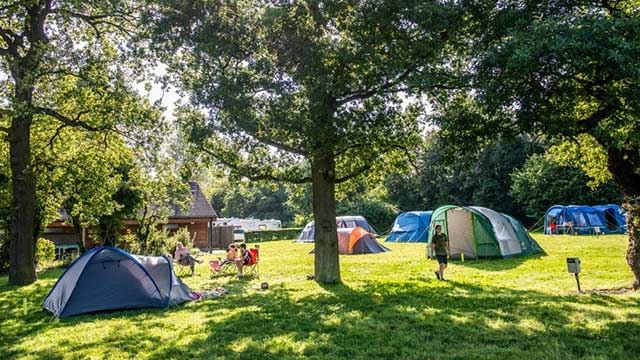 Camping field with different types of tents with some people sitting relaxing in the sunshine with some big trees in the foreground