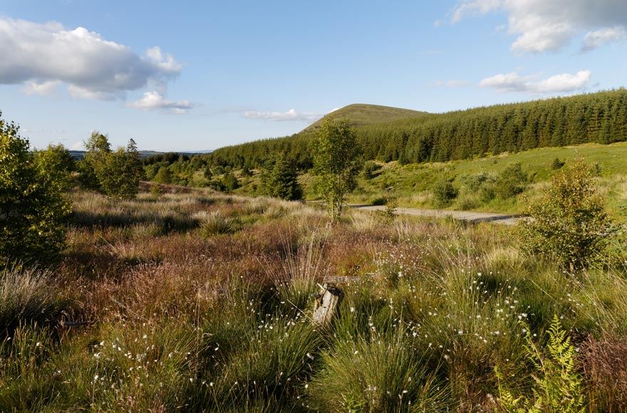 Lake District countryside