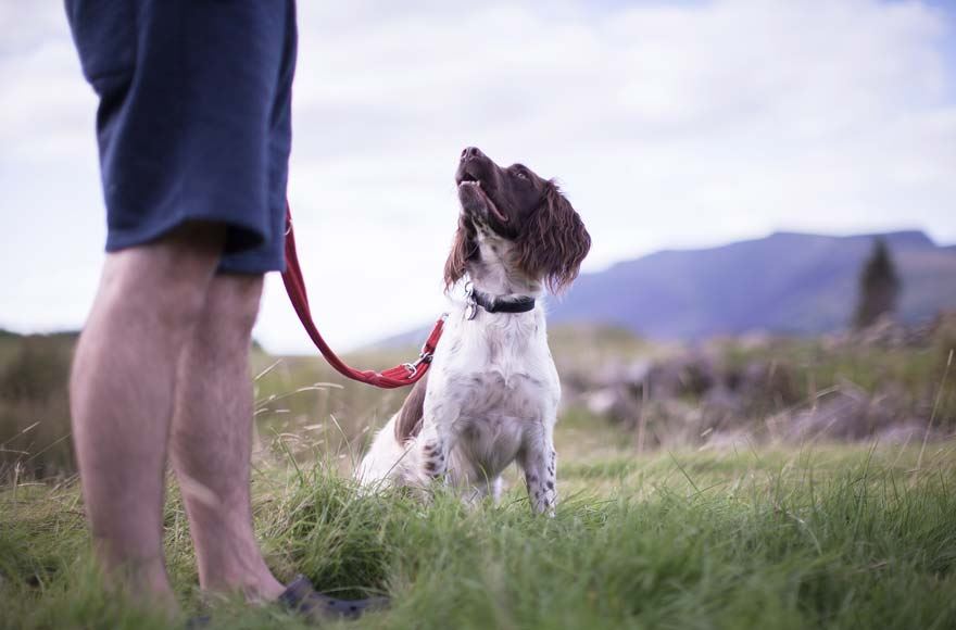 Person walking dog near Troutbeck Head