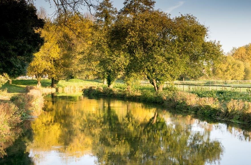 The tranquil waters of the River Itchen in Winchester