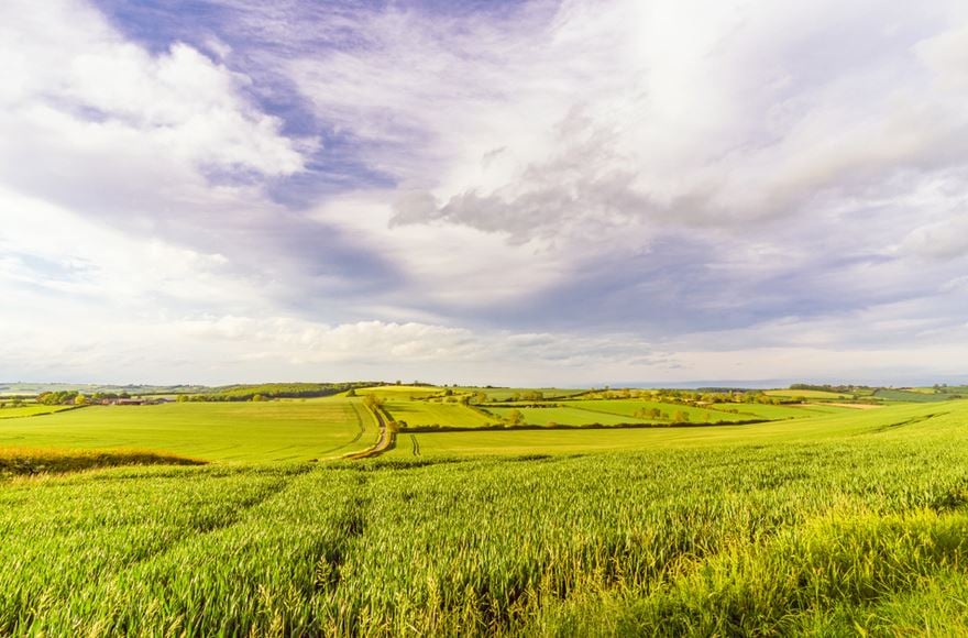 Green fields outside York