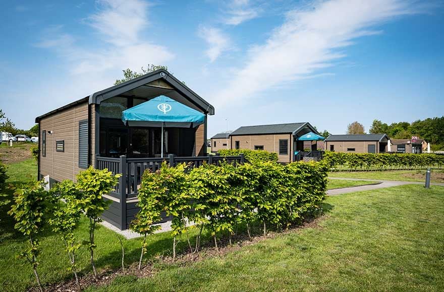 Glamping cabin in a field surrounded lush bushes