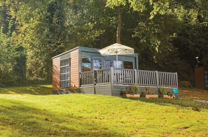 glamping pod surrounded by trees and grass 